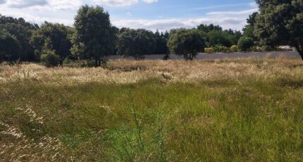 L'Isle-sur-la-Sorgue Terrain à bâtir - 2463448-695annonce420260320Ozrkk.jpeg Maisons France Confort