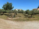 Terrain à bâtir à Aubignan (84810) 2435657-695annonce220260220xgISQ.jpeg Maisons France Confort