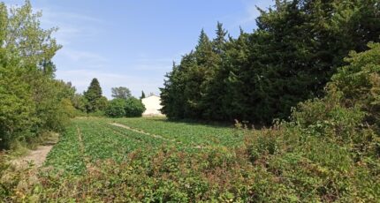 Sénas Terrain à bâtir - 2448000-3969annonce220260305E5UFy.jpeg Maisons France Confort