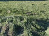 Terrain à bâtir à Malijai (04350) 2493625-2970annonce320260424cGqJw.jpeg Maisons France Confort