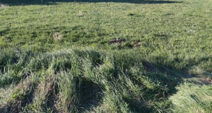 Malijai Terrain à bâtir - 2493656-2970annonce4202604242MLCT.jpeg Maisons France Confort