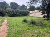 Terrain à bâtir à Fontvieille (13990) 2395028-11073annonce420260116REwsL.jpeg Maisons France Confort