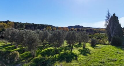 Mas-Blanc-des-Alpilles Maison neuve - 2400589-11073annonce320260121Je4RJ.jpeg Maisons France Confort