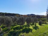 Terrain à bâtir à Mas-Blanc-des-Alpilles (13103) 2400573-11073annonce320260121Je4RJ.jpeg Maisons France Confort