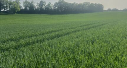 Castelnau-Montratier Maison neuve - 2493989-11852annonce120260425N2HiP.jpeg Maisons France Confort