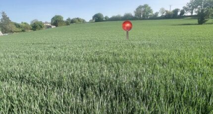 Castelnau-Montratier Maison neuve - 2493989-11852annonce2202604257qLOA.jpeg Maisons France Confort