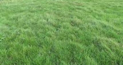 Villecerf Terrain à bâtir - 2461400-1635annonce120260319MRgUq.jpeg Maisons France Confort