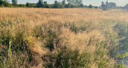 Étables Terrain à bâtir - 2433095-11248annonce420260218PJU0w.jpeg Maisons France Confort