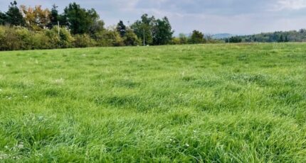 Vion Terrain à bâtir - 2433065-11248annonce220260218CUxWM.jpeg Maisons France Confort