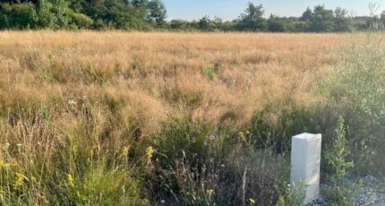 Étables Terrain à bâtir - 2433082-11248annonce220260218TZcKO.jpeg Maisons France Confort