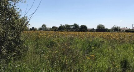 Aigrefeuille-d'Aunis Terrain à bâtir - 2402749-10442annonce320260122vIqy0.jpeg Maisons France Confort