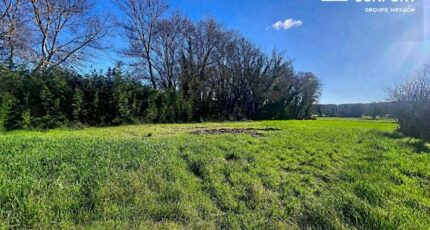 Camps-la-Source Terrain à bâtir - 2464517-5922annonce320260323JpcUH.jpeg Maisons France Confort