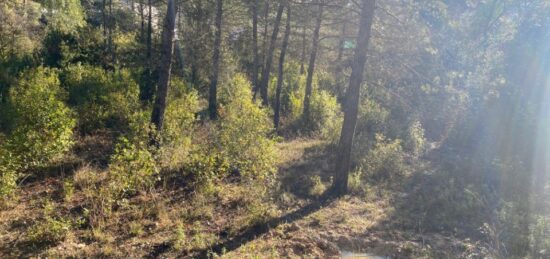 Terrain à bâtir à Brignoles, Provence-Alpes-Côte d'Azur