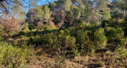 Brignoles Terrain à bâtir - 2440611-5922annonce320260225AOpyE.jpeg Maisons France Confort