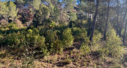 Brignoles Maison neuve - 2440741-5922annonce220260225WA6PW.jpeg Maisons France Confort