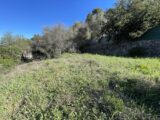 Maison à construire à Hyères (83400) 2468095-10122annonce120260326c1MFL.jpeg Maisons France Confort