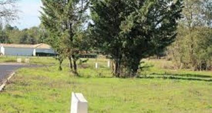 Belin-Béliet Maison neuve - 2484555-3127annonce120250923dyr00.jpeg Maisons France Confort