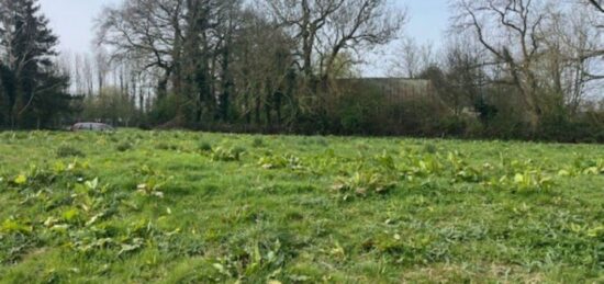 Terrain à bâtir à Fauville-en-Caux, Normandie