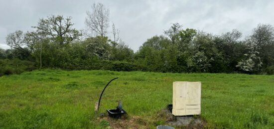 Terrain à bâtir à Bouin, Pays de la Loire