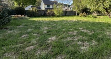 Gometz-le-Châtel Maison neuve - 2494833-11226annonce120260427Z7gLM.jpeg Maisons France Confort