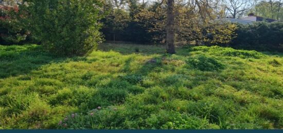 Terrain à bâtir à Breuillet, Nouvelle-Aquitaine
