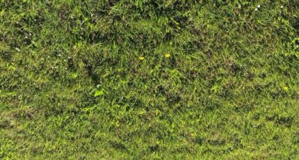 Belin-Béliet Terrain à bâtir - 2390582-annonceTerrain-20260313160047.JPEG Maisons France Confort