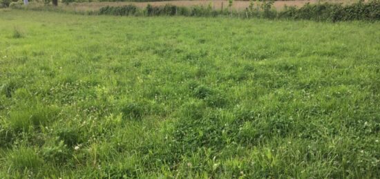 Terrain à bâtir à Buellas, Auvergne-Rhône-Alpes