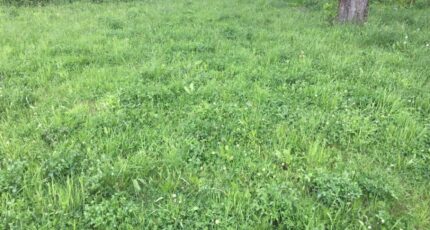 Buellas Maison neuve - 2397930-754annonce2202601197NvkA.jpeg Maisons France Confort