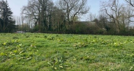 Fauville-en-Caux Maison neuve - 2495611-11168annonce2202604271cW4z.jpeg Maisons France Confort