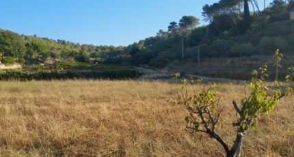 Cotignac Terrain à bâtir - 2495508-10744annonce120251201qCyvN.jpeg Maisons France Confort