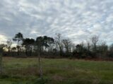 Terrain à bâtir à Balizac (33730) 2495579-10677annonce120260428JV0XS.jpeg Maisons France Confort