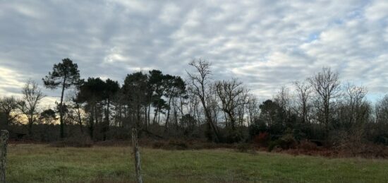 Terrain à bâtir à Balizac, Nouvelle-Aquitaine