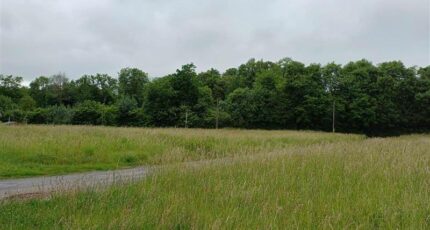 Auchel Terrain à bâtir - 2495696-11655annonce120260428RWvKn.jpeg Maisons France Confort