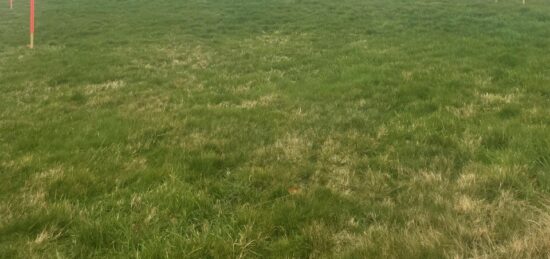 Terrain à bâtir à La Ferté-Macé, Normandie