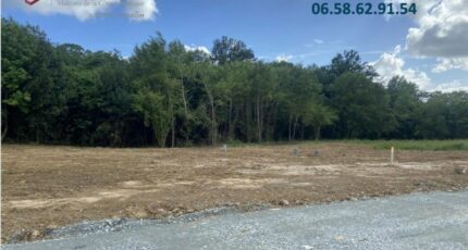 Castres-Gironde Terrain à bâtir - 2496014-11071annonce120260428GcTkf.jpeg Maisons France Confort