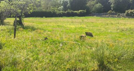 Nercillac Maison neuve - 2496058-11268annonce120260428l5S9T.jpeg Maisons France Confort