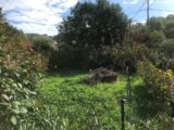 Terrain à bâtir à Pignans (83790) 2496077-5622annonce120260428Jm9uD.jpeg Maisons France Confort