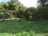Terrain à bâtir à Pignans (83790) 2496077-5622annonce2202604281BA8x.jpeg Maisons France Confort