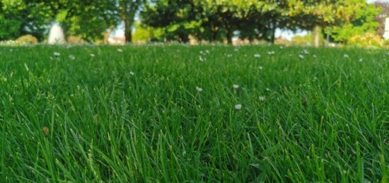 Terrain à bâtir à Gujan-Mestras, Nouvelle-Aquitaine