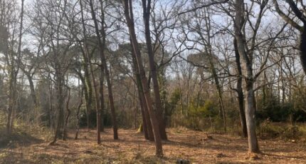 Landiras Maison neuve - 2496311-3601annonce120260428xmUMi.jpeg Maisons France Confort