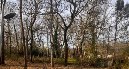 Landiras Terrain à bâtir - 2496306-3601annonce220260428fAbL7.jpeg Maisons France Confort