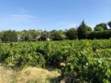 Terrain à bâtir à Vacqueyras (84190) 2409284-3418annonce120251006sVfin.jpeg Maisons France Confort