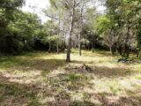 Terrain à bâtir à Flayosc (83780) 2496603-10295annonce220260105Qwpy7.jpeg Maisons France Confort