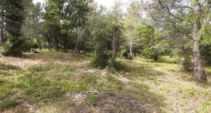 Flayosc Terrain à bâtir - 2496606-10295annonce220260105vyLTM.jpeg Maisons France Confort