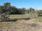 Terrain à bâtir à Fréjus (83600) 2496594-10295annonce320260107mgEUT.jpeg Maisons France Confort