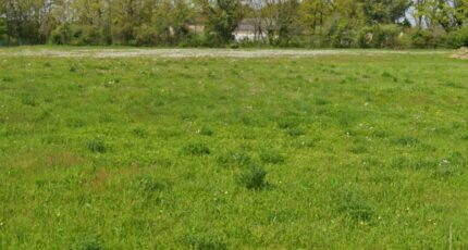 La Guerche-sur-l'Aubois Terrain à bâtir - 2438893-11786annonce120260224z5t0w.jpeg Maisons France Confort