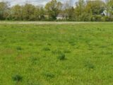 Maison à construire à La Guerche-sur-l’Aubois (18150) 2438901-11786annonce120260224z5t0w.jpeg Maisons France Confort