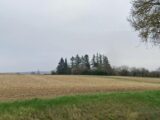 Maison à construire à Crézancy-en-Sancerre (18300) 2445942-11786annonce120260303ph6xN.jpeg Maisons France Confort
