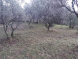 Terrain à bâtir à Draguignan (83300) 2496797-10295annonce1202604293JTDA.jpeg Maisons France Confort