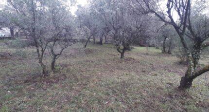 Draguignan Terrain à bâtir - 2496797-10295annonce1202604293JTDA.jpeg Maisons France Confort